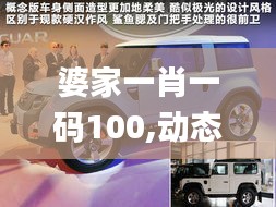 婆家一肖一码100,动态分析解释定义_Harmony2.903