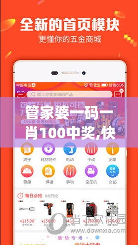 管家婆一码一肖100中奖,快速问题设计方案_eShop13.231