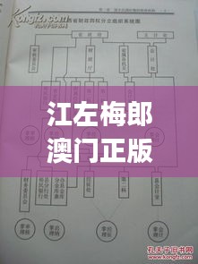 江左梅郎澳门正版资料,权威分析说明_3D6.742