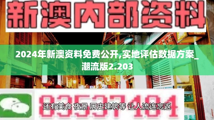 2024年新澳资料免费公开,实地评估数据方案_潮流版2.203