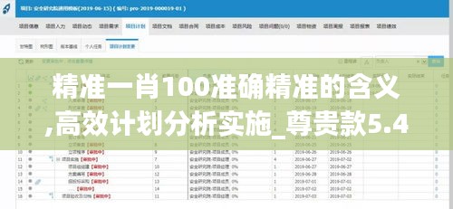 精准一肖100准确精准的含义,高效计划分析实施_尊贵款5.474