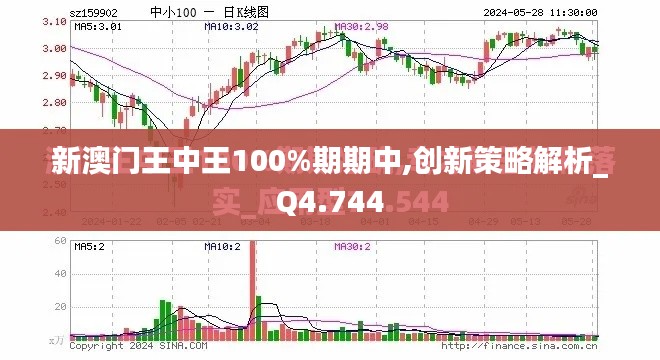 新澳门王中王100%期期中,创新策略解析_Q4.744