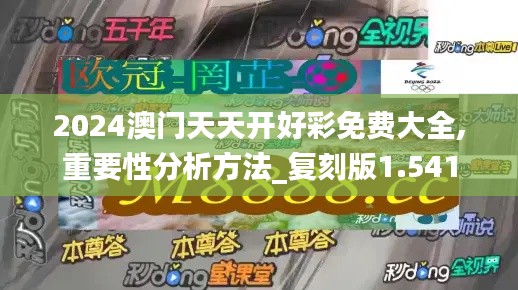 2024澳门天天开好彩免费大全,重要性分析方法_复刻版1.541