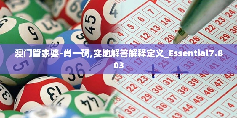 澳门管家婆-肖一码,实地解答解释定义_Essential7.803