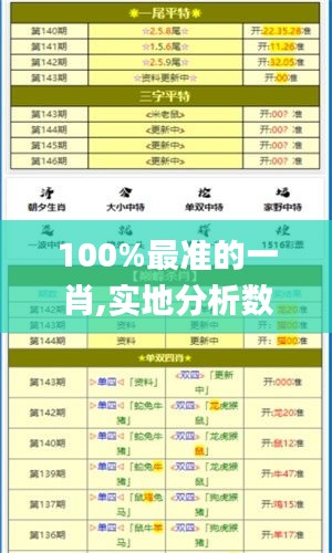 100%最准的一肖,实地分析数据执行_顶级款9.937