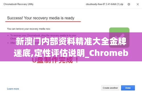 新澳门内部资料精准大全金牌迷底,定性评估说明_Chromebook10.219