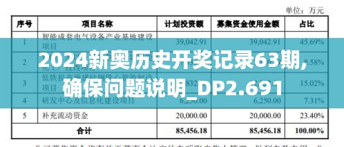 2024新奥历史开奖记录63期,确保问题说明_DP2.691