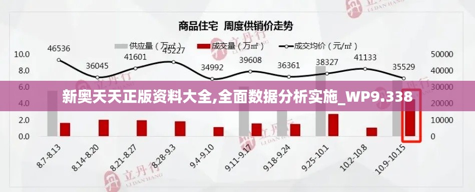 新奥天天正版资料大全,全面数据分析实施_WP9.338