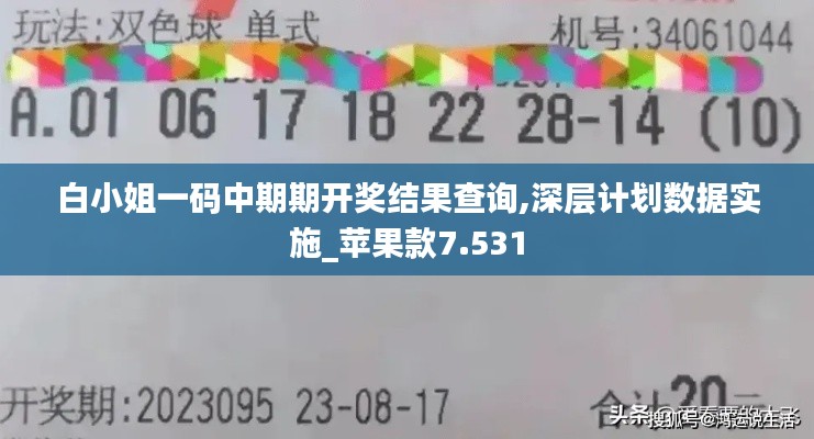 白小姐一码中期期开奖结果查询,深层计划数据实施_苹果款7.531