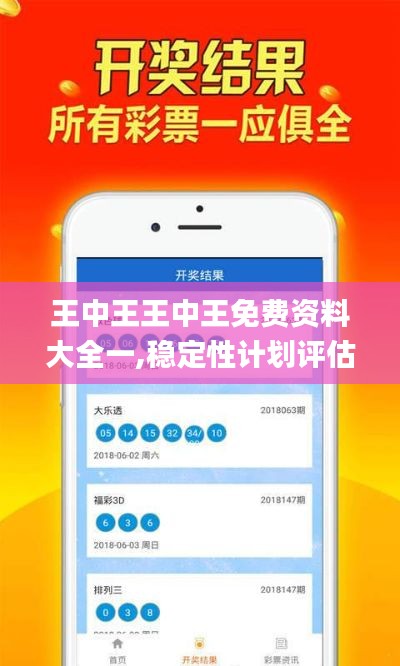 王中王王中王免费资料大全一,稳定性计划评估_XE版5.597