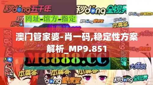 澳门管家婆-肖一码,稳定性方案解析_MP9.851