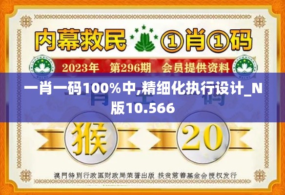 一肖一码100%中,精细化执行设计_N版10.566