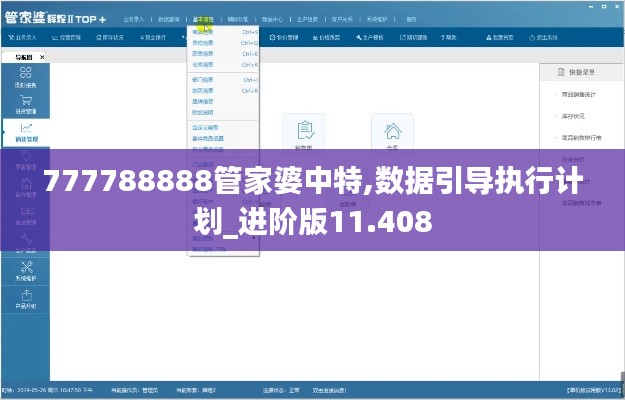 777788888管家婆中特,数据引导执行计划_进阶版11.408