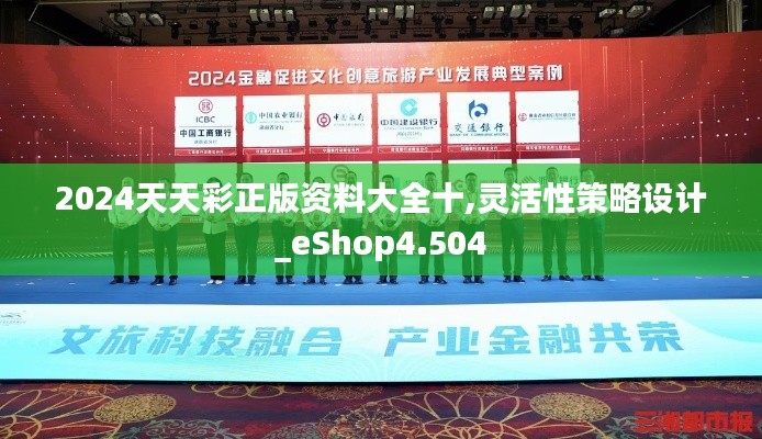 2024天天彩正版资料大全十,灵活性策略设计_eShop4.504