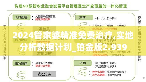 2024管家婆精准免费治疗,实地分析数据计划_铂金版2.939