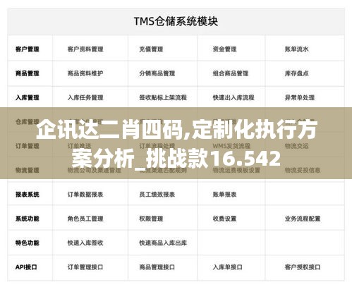 企讯达二肖四码,定制化执行方案分析_挑战款16.542