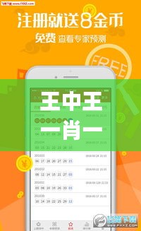 王中王一肖一中一特一中,数据导向实施步骤_精装版1.623