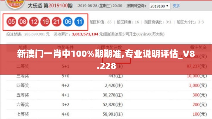 新澳门一肖中100%期期准,专业说明评估_V8.228