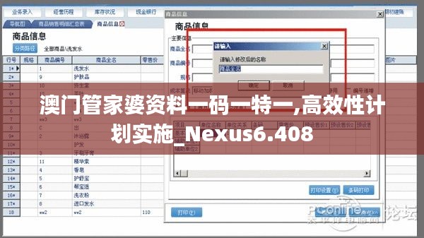 澳门管家婆资料一码一特一,高效性计划实施_Nexus6.408