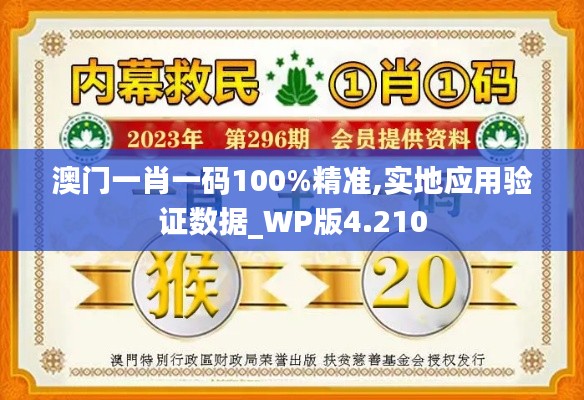 澳门一肖一码100%精准,实地应用验证数据_WP版4.210