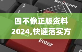 四不像正版资料2024,快速落实方案响应_6DM11.852