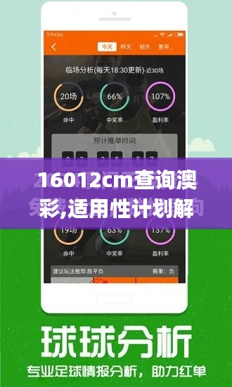 16012cm查询澳彩,适用性计划解读_Harmony款3.290