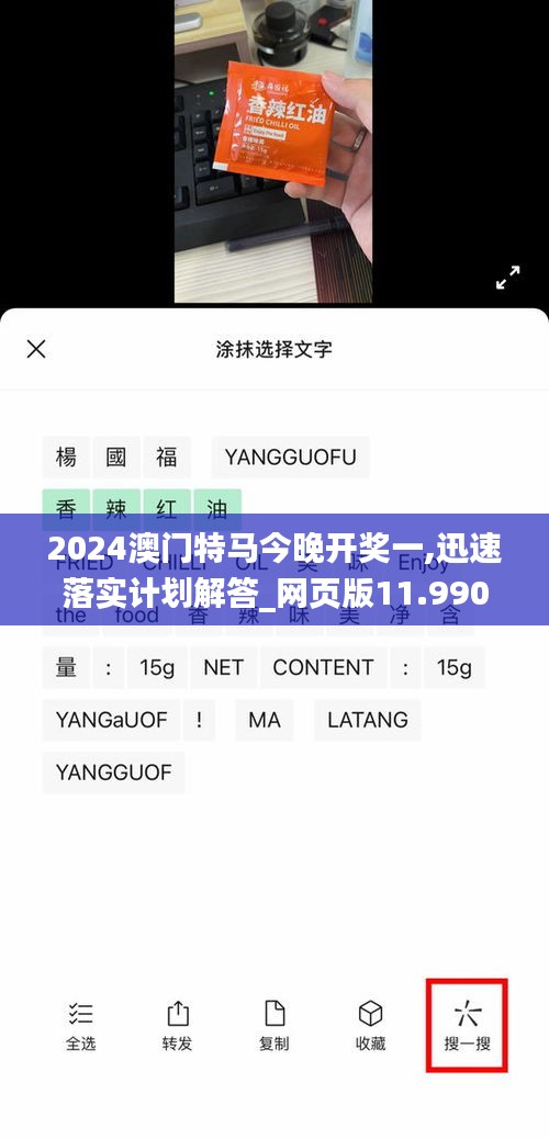 2024澳门特马今晚开奖一,迅速落实计划解答_网页版11.990