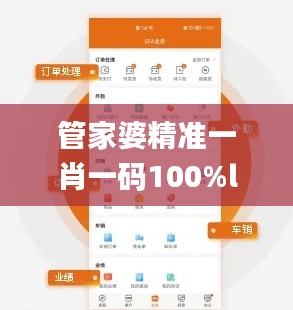 管家婆精准一肖一码100%l,实践性方案设计_定制版6.765