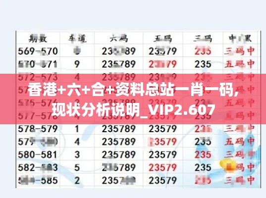 香港+六+合+资料总站一肖一码,现状分析说明_VIP2.607