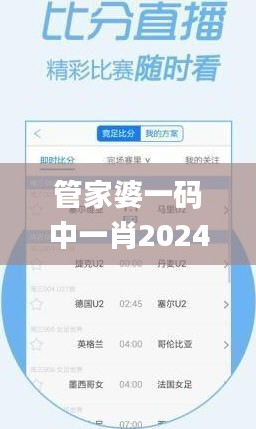 管家婆一码中一肖2024,确保解释问题_基础版7.195