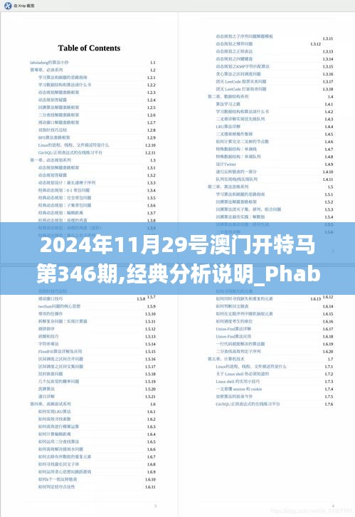 2024年11月29号澳门开特马第346期,经典分析说明_Phablet110.339