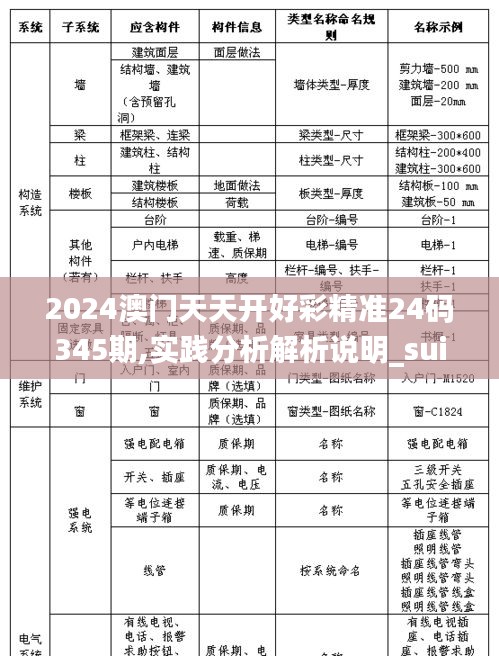 2024澳门天天开好彩精准24码345期,实践分析解析说明_suite2.392