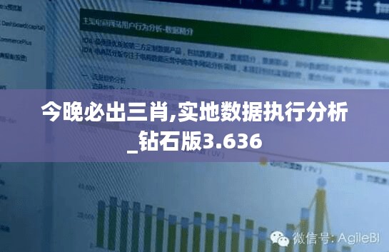 今晚必出三肖,实地数据执行分析_钻石版3.636