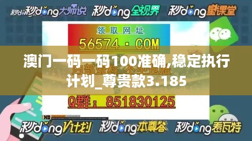 澳门一码一码100准确,稳定执行计划_尊贵款3.185