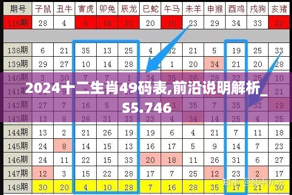 2024十二生肖49码表,前沿说明解析_S5.746