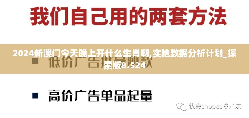 2024新澳门今天晚上开什么生肖啊,实地数据分析计划_探索版8.524