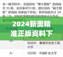 2024新奥精准正版资料下载,实地评估解析说明_挑战款7.359