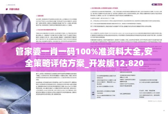 管家婆一肖一码100%准资料大全,安全策略评估方案_开发版12.820