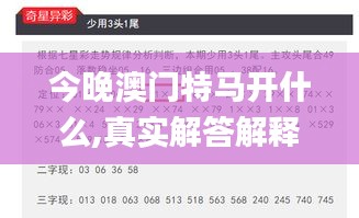 今晚澳门特马开什么,真实解答解释定义_网页款7.153