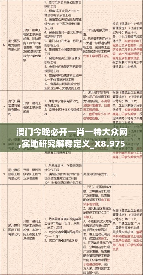 澳门今晚必开一肖一特大众网,实地研究解释定义_X8.975