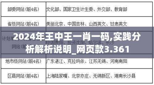 2024年王中王一肖一码,实践分析解析说明_网页款3.361