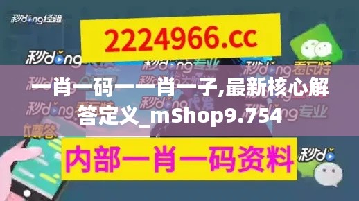 一肖一码一一肖一子,最新核心解答定义_mShop9.754