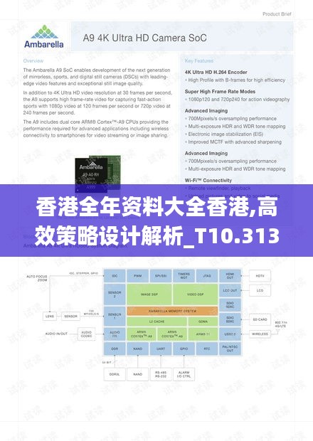 香港全年资料大全香港,高效策略设计解析_T10.313