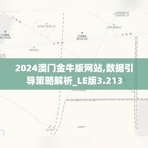 2024澳门金牛版网站,数据引导策略解析_LE版3.213