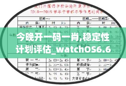 今晚开一码一肖,稳定性计划评估_watchOS6.689