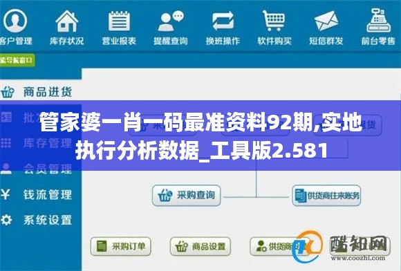 管家婆一肖一码最准资料92期,实地执行分析数据_工具版2.581