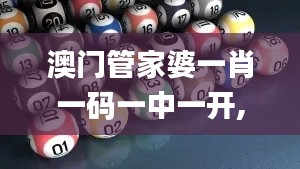 澳门管家婆一肖一码一中一开,全面设计执行方案_入门版4.830