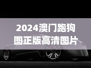 2024澳门跑狗图正版高清图片大全,实践数据解释定义_桌面版10.808