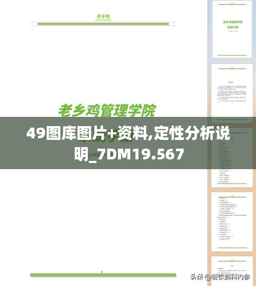 49图库图片+资料,定性分析说明_7DM19.567