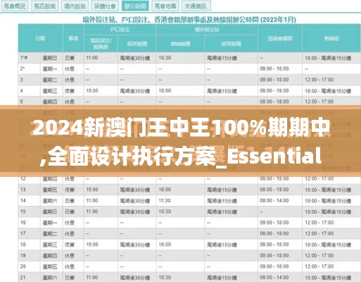 2024新澳门王中王100%期期中,全面设计执行方案_Essential9.629